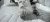 Avatr 11 AT